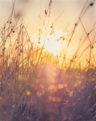 Profilbild Maria Sieber